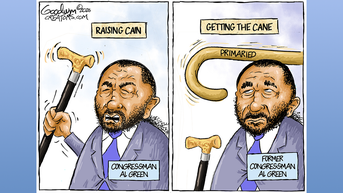 Political cartoons of the day - Fox News