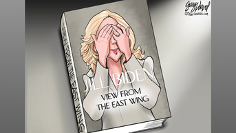 Political cartoons of the day - Fox News