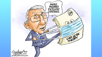Political cartoons of the day - Fox News