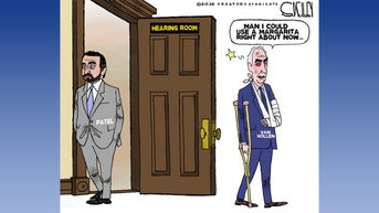 Political cartoons of the day - Fox News