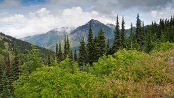 Mysterious remains found in national park sleeping bag identified after 26 years - Fox News