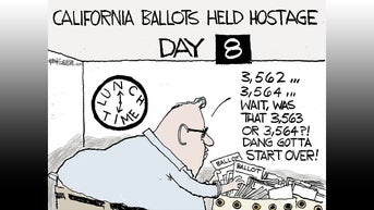 Political cartoons of the day - Fox News