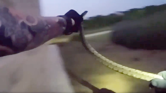 Officer springs into action after snake sparks neighborhood call from residents - Fox News