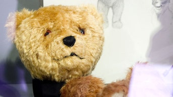 They may look like teddy bears, but experts say parents should treat them differently - Fox News