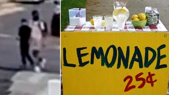 Suspects asked about Apple Pay then allegedly pulled a gun on children selling lemonade - Fox News
