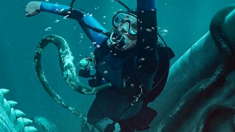 'Whalefall' trailer shows Austin Abrams getting swallowed alive by a sperm whale - Fox News