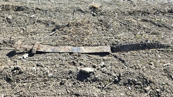 1,300-year-old Viking sword discovered 'sticking up out of the ground' - Fox News