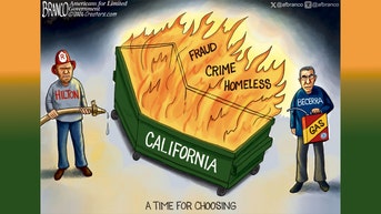 Political cartoons of the day - Fox News