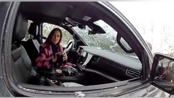 Police let Dianna Russini walk after she flashed Vikings coach texts during traffic stop - Fox News