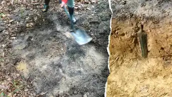 Mystery deepens after 2,700-year-old bronze sword emerges standing upright - Fox News