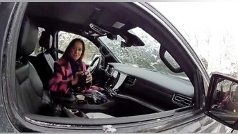 Police let Dianna Russini walk after she flashed Vikings coach texts during traffic stop - Fox News