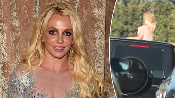 Britney Spears caught on camera standing through sunroof during freeway drive - Fox News