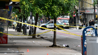 Detective union chief warns 'this has to stop' after bloody weekend in Brooklyn - Fox News