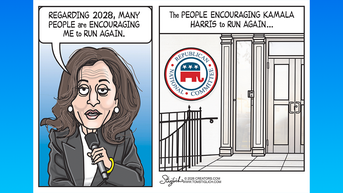 Political cartoons of the day - Fox News