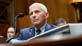 Fauci le pasó en secreto a Jake las preguntas para una CNN hostil y anti-Trump CNN - Fox News