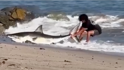 Los Angeles fisherman releases SHARK back into ocean - Fox News