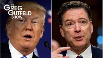 Gutfeld: The White House had one of its best weeks ever