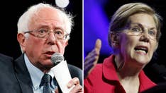 Bernie Sanders slams Elizabeth Warren as ‘capitalist’