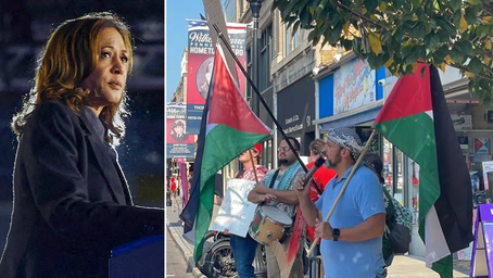 Pro-Palestinian agitators taunt Harris rally-goers as veep supporter hits back