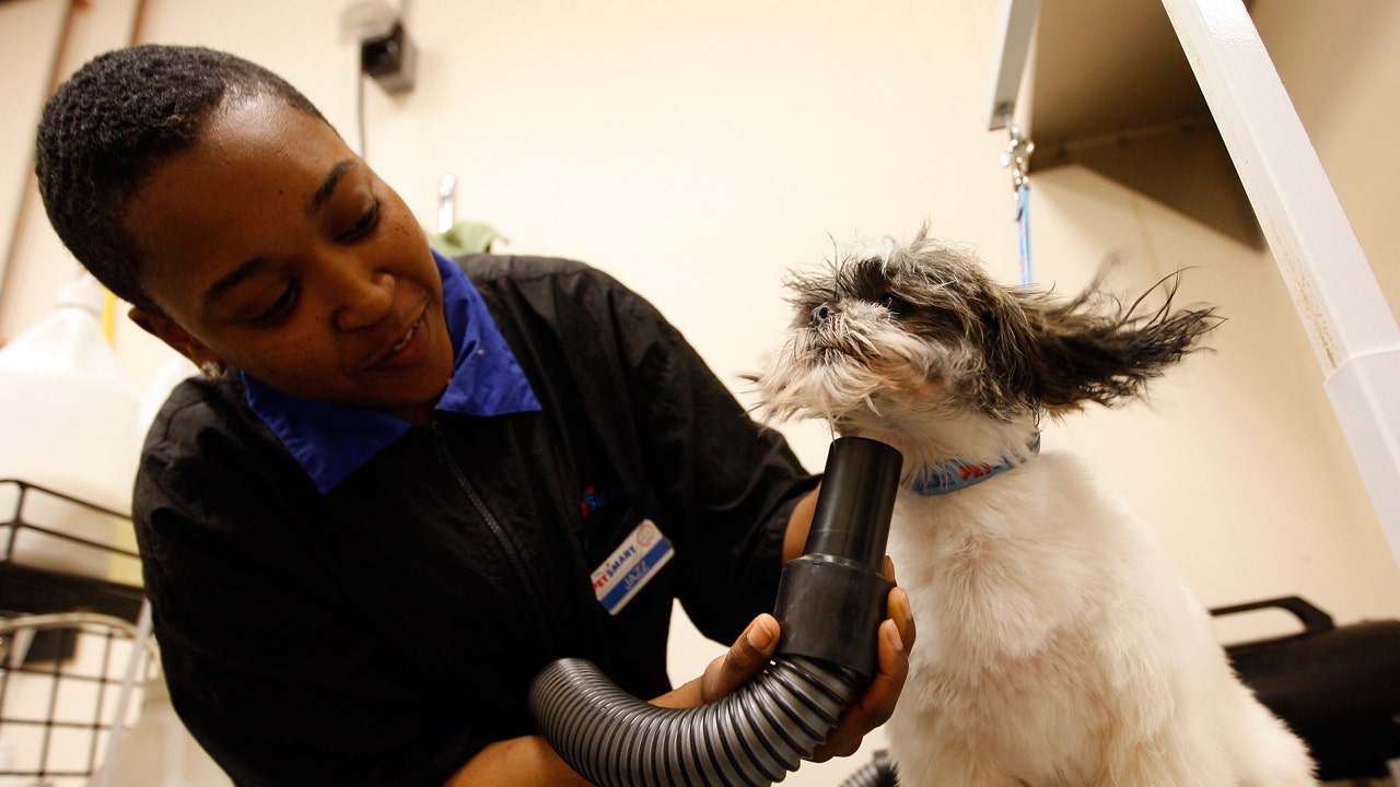 Report Petco Begins Merger Talks With PetSmart Fox Business