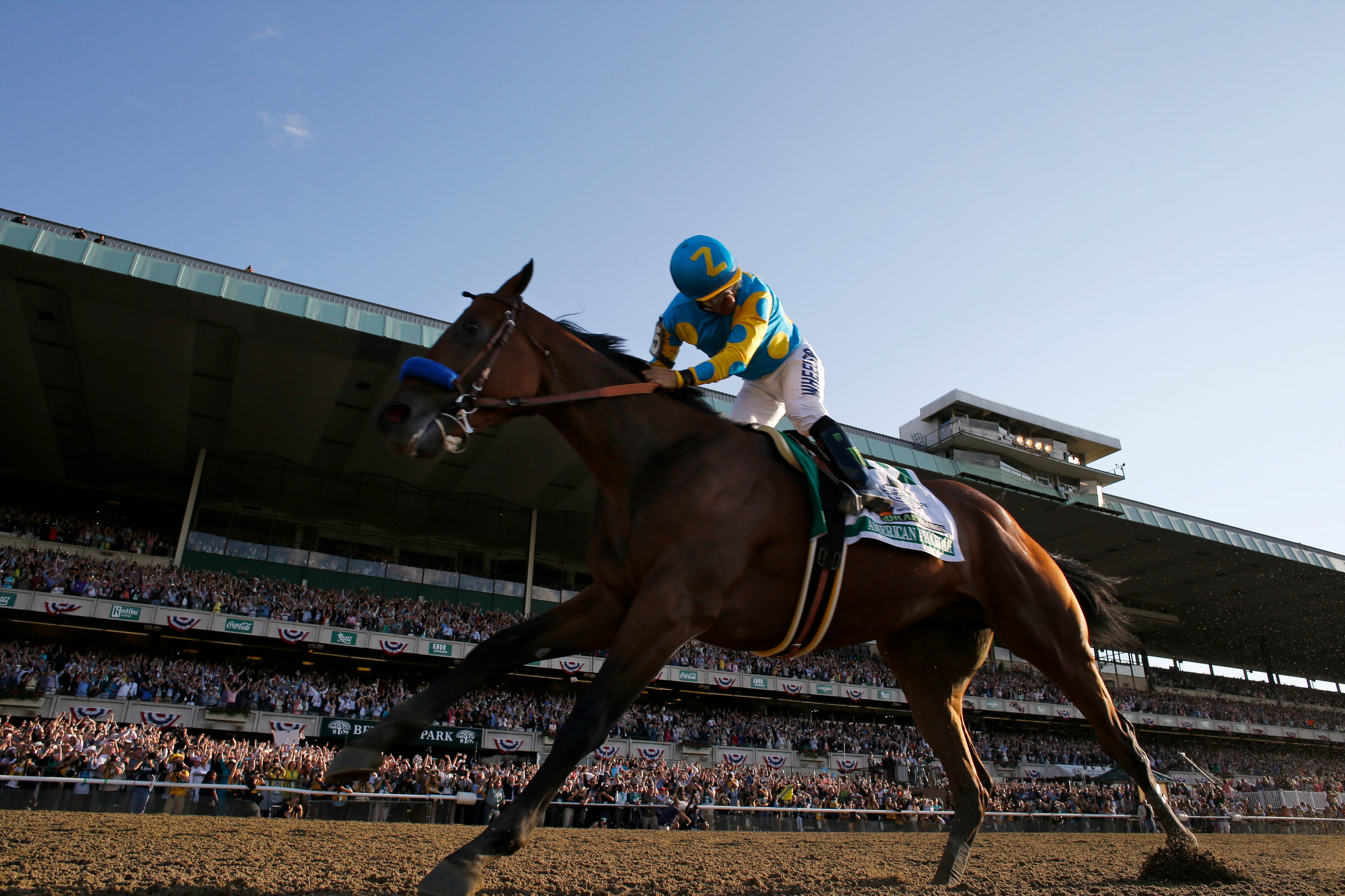 Crown run. Tony derby рост. 2015 kentucky derby. Ivy crown группа. Лошадиные скачки финиш фортуна.