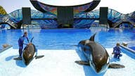 SeaWorld says park attendance fell 2 percent in 2nd quarter, but backs its annual forecast
