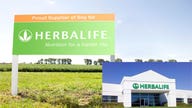 Herbalife Sells Off as U.S. Senator Calls for Pyramid Scheme Probe