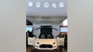 Nevada Rolls Snake Eyes on Tesla