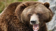 5 Stock Groups Get Bear Market Mauling