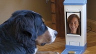 13-Year-Old’s Startup Lets U See Pooch When Away