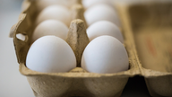Widening egg scandal hits 17 countries in Europe