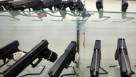 Gun stocks rise anew, and more people own them than know it