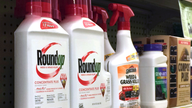 Ingredient in popular weed killer going on list as cancerous