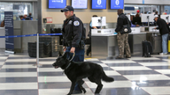Chicago police to lead response to airport disturbances