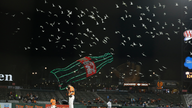 California baseball fans, players have common enemy: gulls