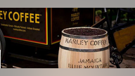 Bob Marley’s Son Puts His Mark on the Coffee Business