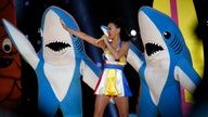 Unforgettable Super Bowl Halftime Moments
