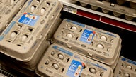 Egg Costs Jump 18.3%, Most Since 1973