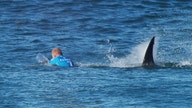 Using Tech to Prevent a Shark Attack After Mick Fanning's Close Call