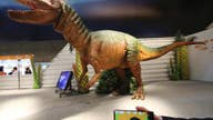 Japan's latest robotic dinosaur, electronic cheerleaders and ping-pong robot