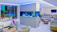It’s Not Easy Selling $50,000 Fish Tanks