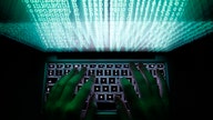 Cyber hacks driving ‘bug bounty' jobs and programs in corporate America