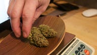 Banks Just Say No to Marijuana Businesses