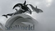 SeaWorld of Problems