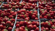 Strawberries are Now the Most Contaminated Produce