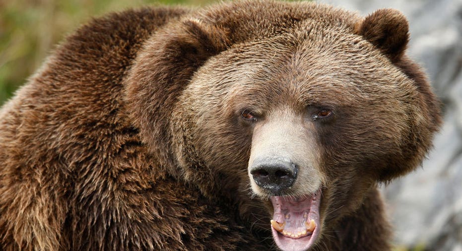5 Stock Markets Mauled By the Bear