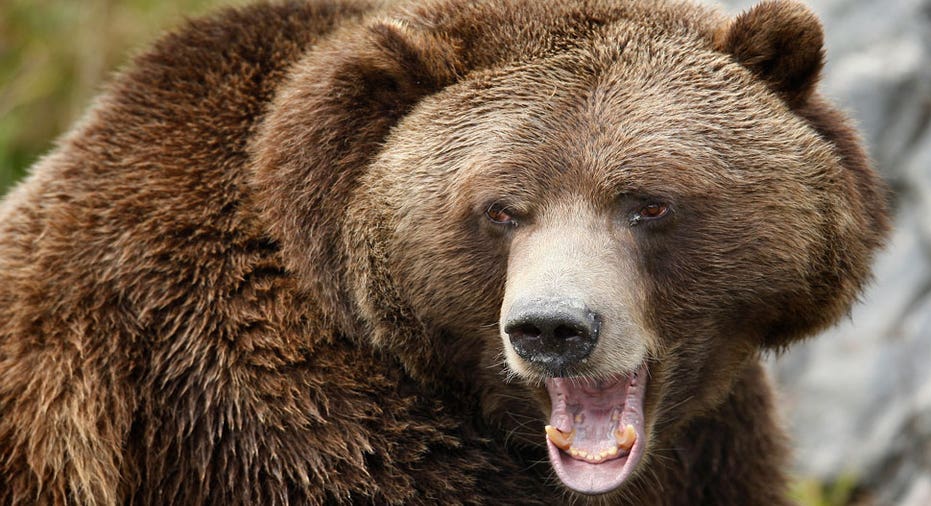 5 Stock Markets Mauled By the Bear