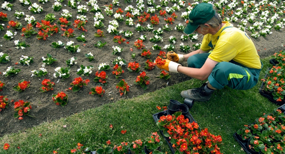 Gardening