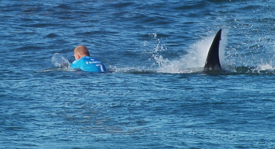 South Africa Surfer Shark Attack