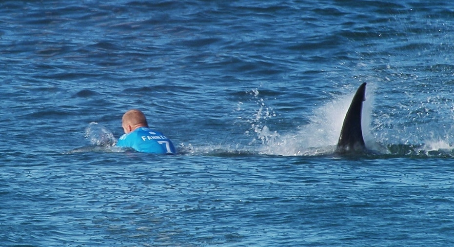 South Africa Surfer Shark Attack